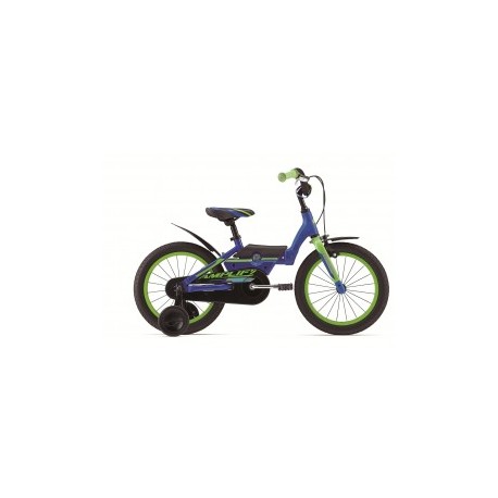 Modelo 017300 BICICLETA R.16 GIANT AMPLIFY...